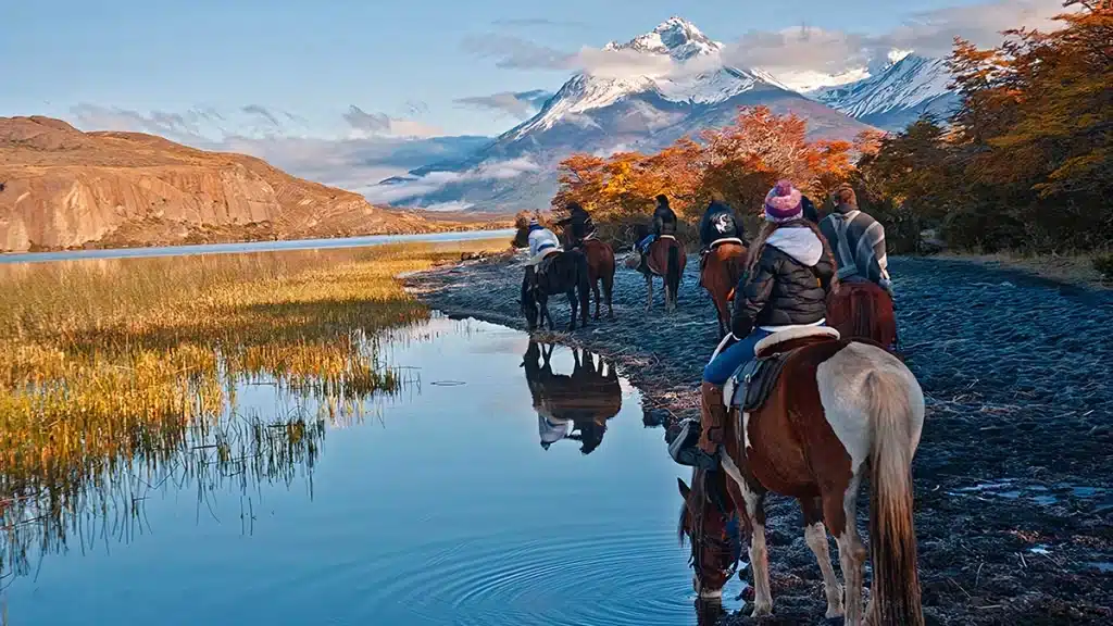 Patagonia Loteo Laguna Sofía Investment