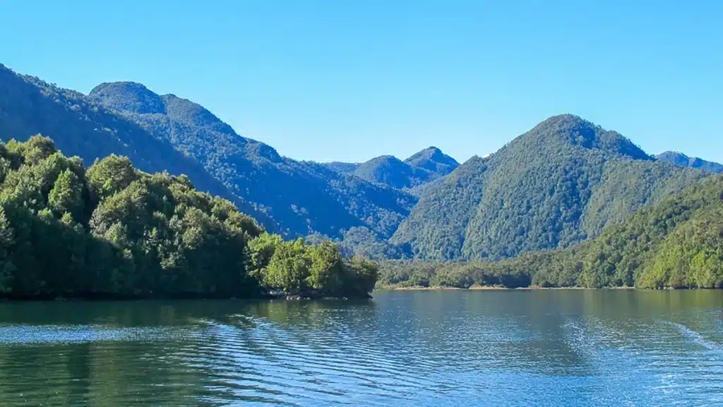 Patagonia Puerto Bonito 2