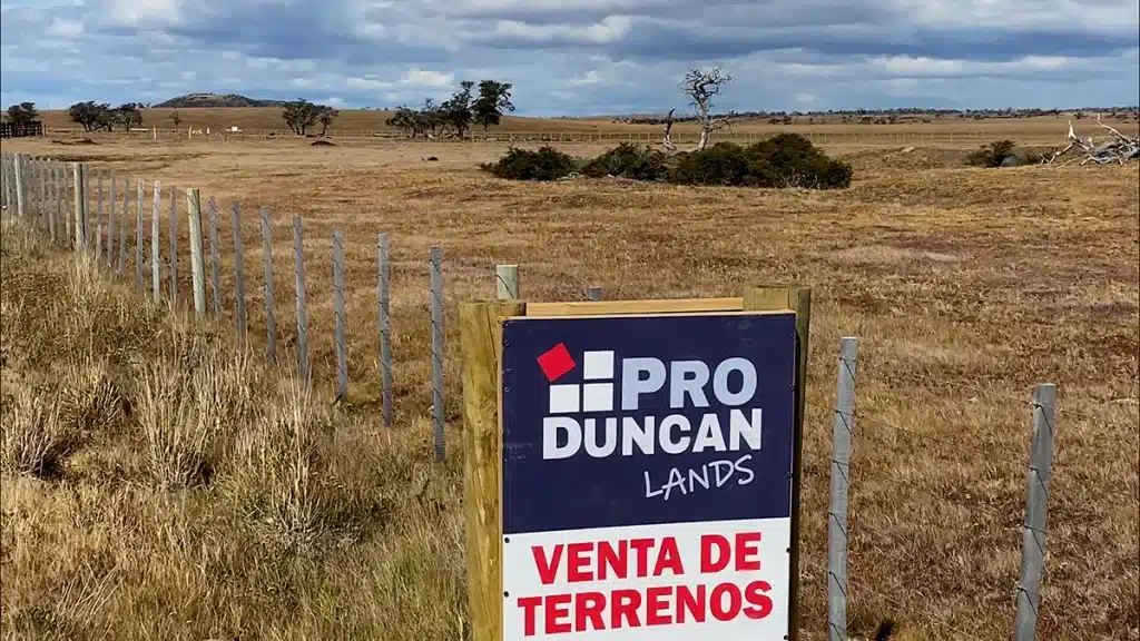 Produncan Lands Investment