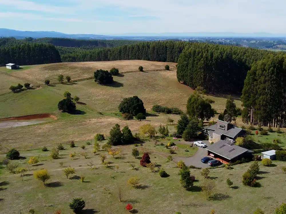 Talingotinto Field With House