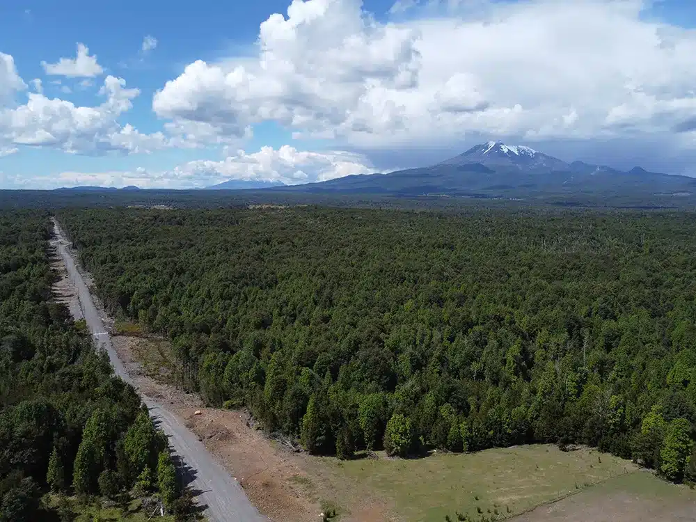 Alerces de Lauca Plots Chilean Patagonia